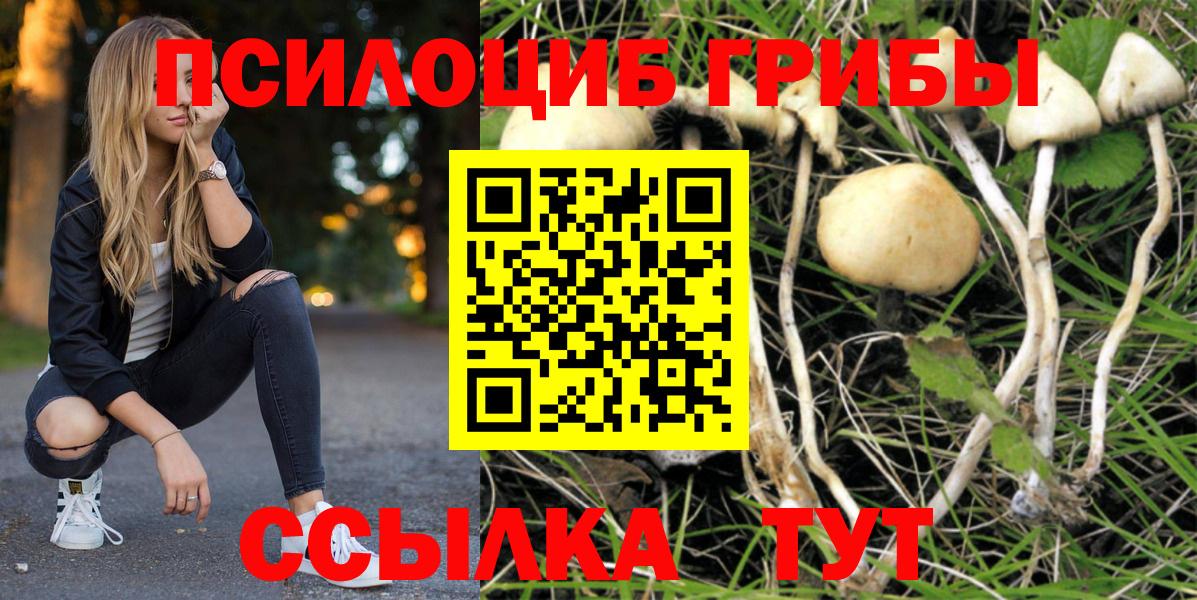 Галлюциногенные грибы MAGIC MUSHROOMS  Галлюциногенные грибы Psilocybe  Сорочинск 