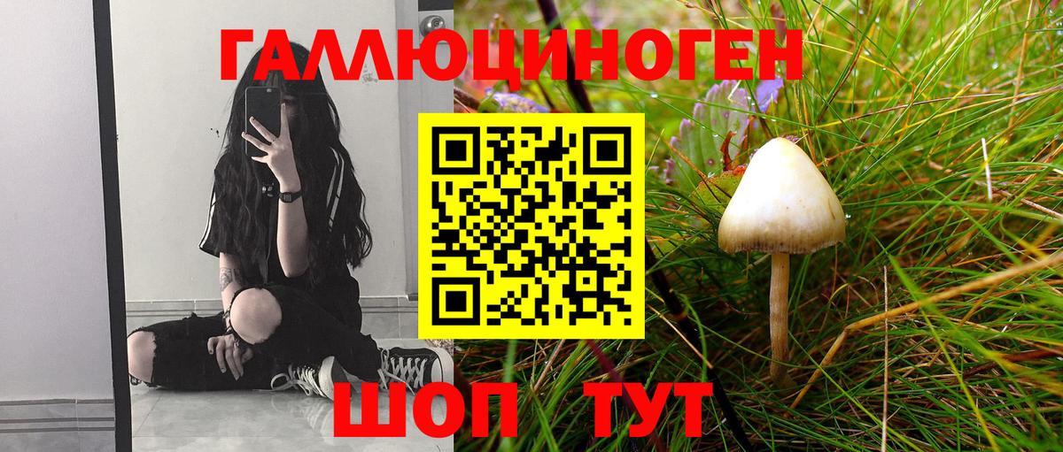 закладка  Вход с VPN  Сорочинск  Псилоцибиновые грибы Cubensis 