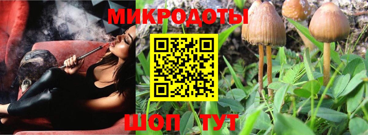 Псилоцибиновые грибы Psilocybine cubensis Сорочинск